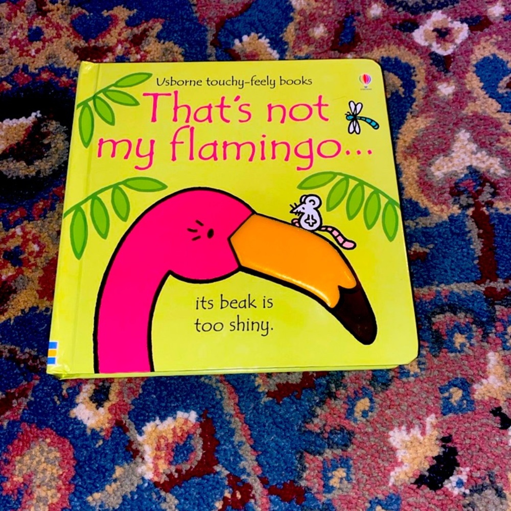 Usborne Children’s book